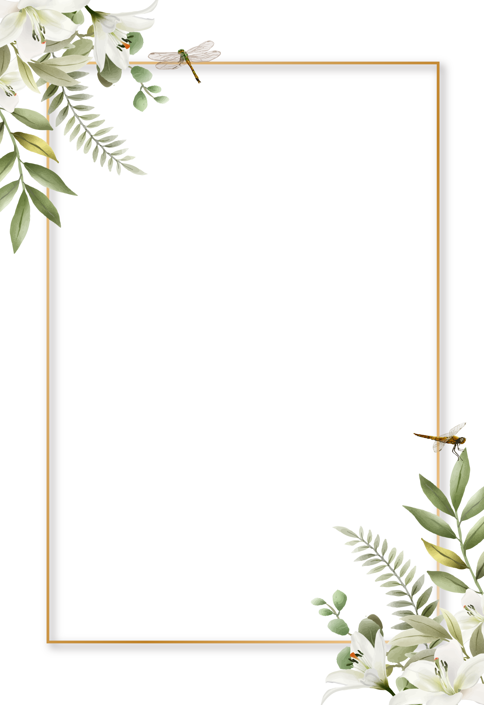 Frame 1 Image